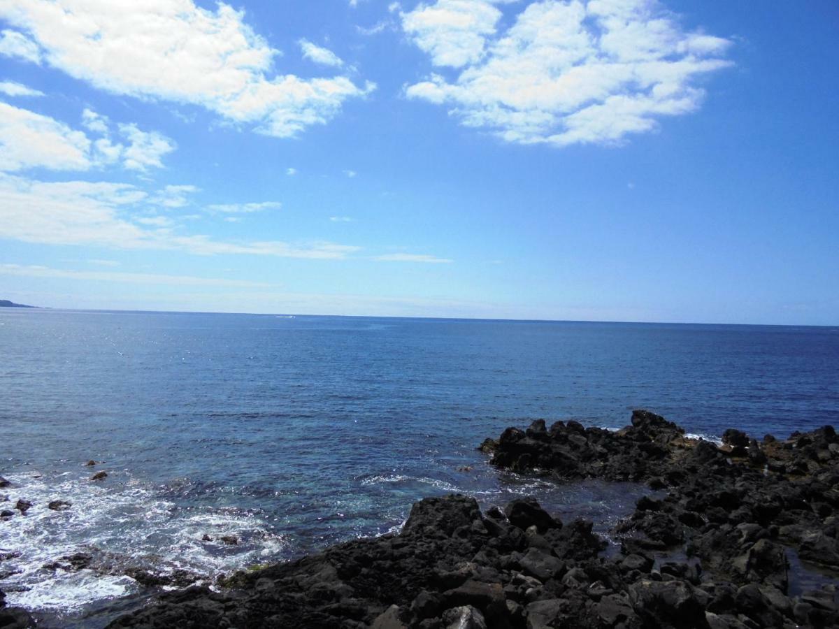 Casa Da Flor Apartman Ponta Delgada Kültér fotó